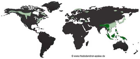 Weltweite natrliche Verbreitung von Rhododendren